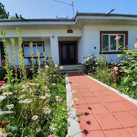 Casa Jeni Villa Humulesti Exteriör bild