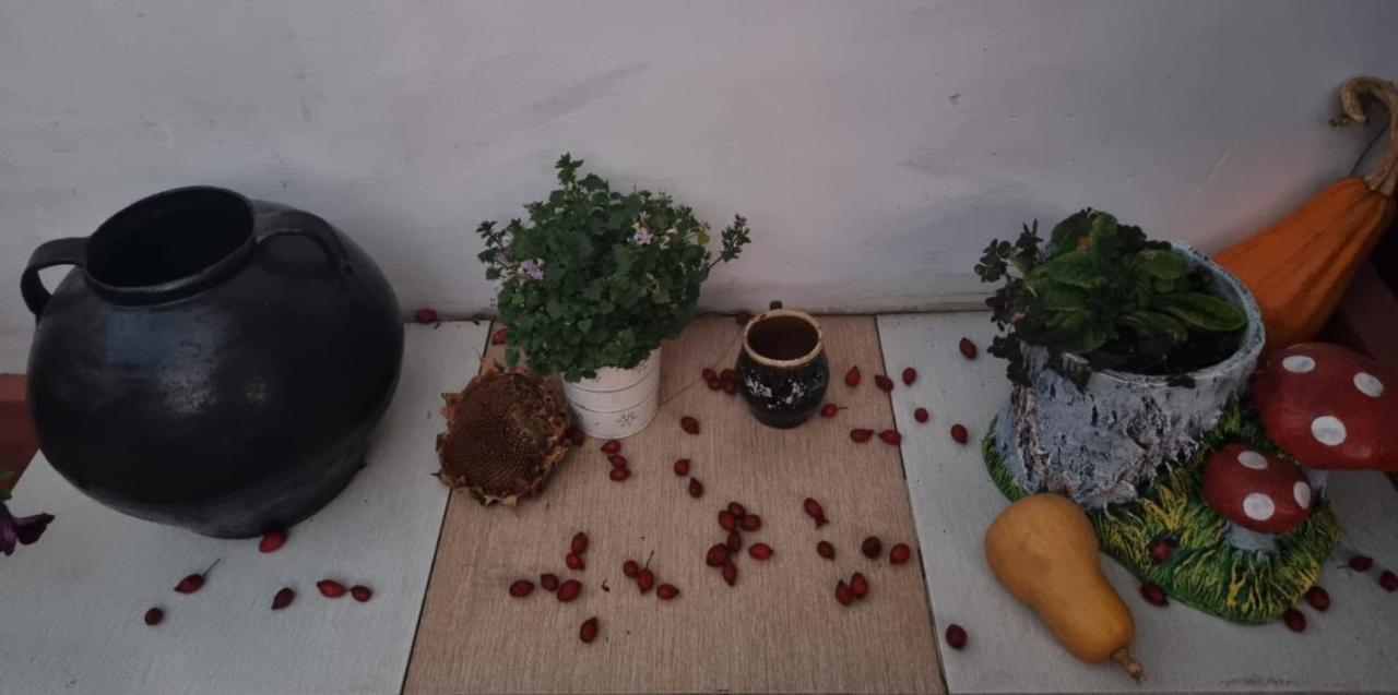 Casa Jeni Villa Humulesti Exteriör bild